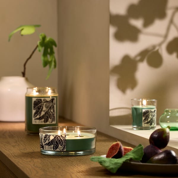 LOTSFÅGEL Scented candle/glass w lid/3 wicks, Fig leaf green, 25 hr