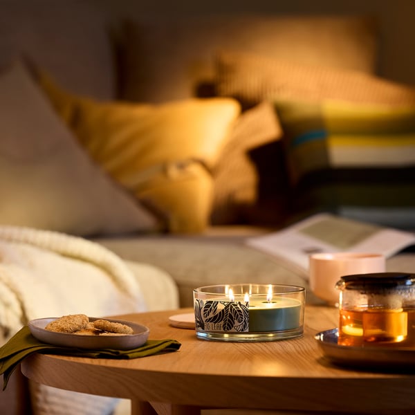 LOTSFÅGEL Scented candle/glass w lid/3 wicks, Fig leaf green, 25 hr
