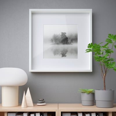 Picture frame, with front protection, on shelf, beside lamp, plant, and decor.