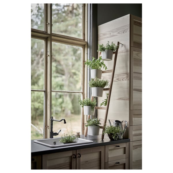 Kitchen sink near large window, with wooden ladder plant stand holding several gray-potted green plants.