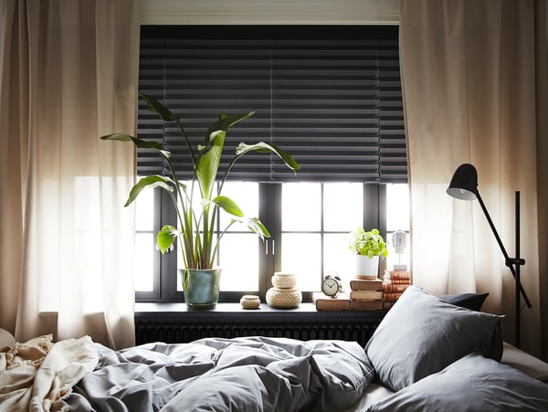 Bedroom with grey SCHOTTIS block-out blinds, large plant, books, lamp, and messy bed with grey sheets and pillows.