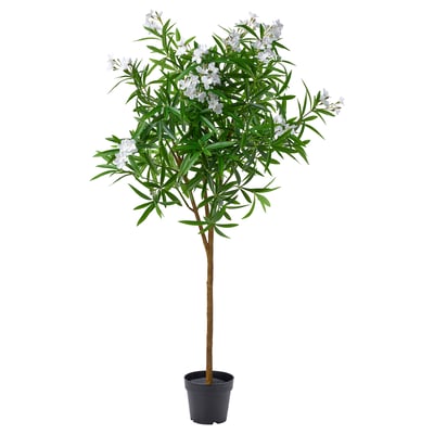 FEJKA Planta artificial, int/ext/Adelfa blanco, 19 cm
