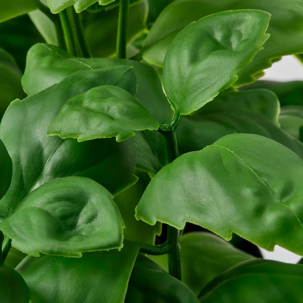 FEJKA Planta artificial, int/ext/albahaca, 9 cm