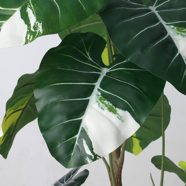 FEJKA Planta artificial, int/ext Alocasia, 19 cm