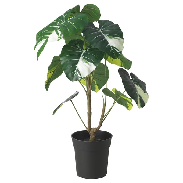 FEJKA Planta artificial, int/ext Alocasia, 19 cm