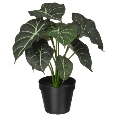 FEJKA Planta artificial, int/ext Alocasia, 12 cm
