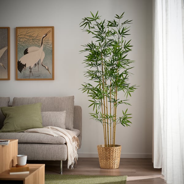 FEJKA Planta artificial, int/ext/Bambú, 21 cm