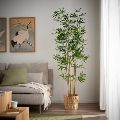FEJKA Planta artificial, int/ext/Bambú, 21 cm