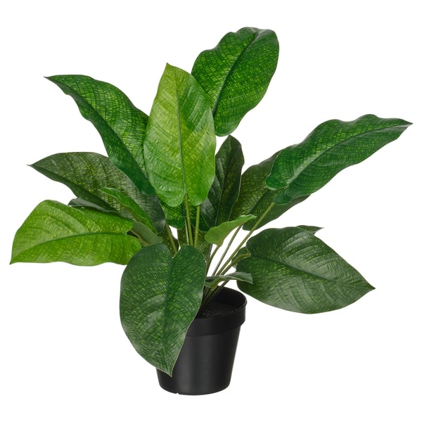 FEJKA Planta artificial, int/ext Calatea, 12 cm