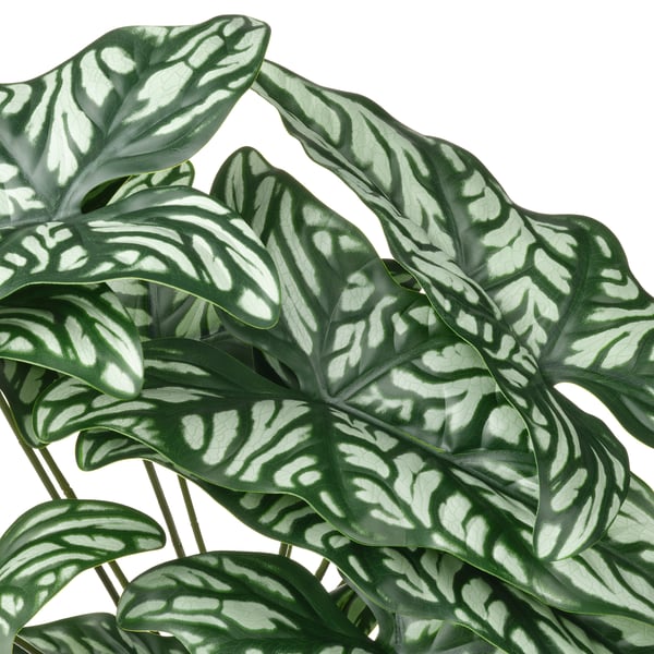 FEJKA Planta artificial, int/ext Cercestis, 15 cm