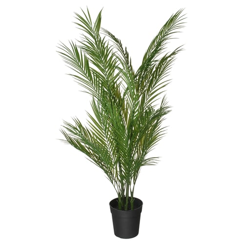 FEJKA Planta artificial, int/ext chrysalidocarpus lutescens, 19 cm