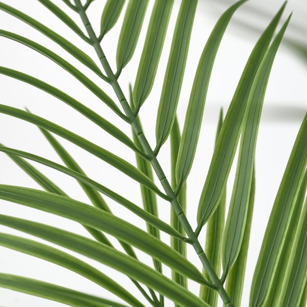 FEJKA Planta artificial, int/ext chrysalidocarpus lutescens, 19 cm