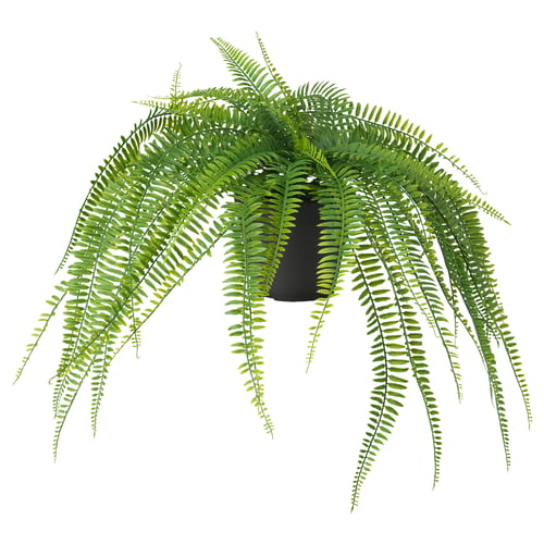 FEJKA Planta artificial, int/ext colgante/helecho, 12 cm