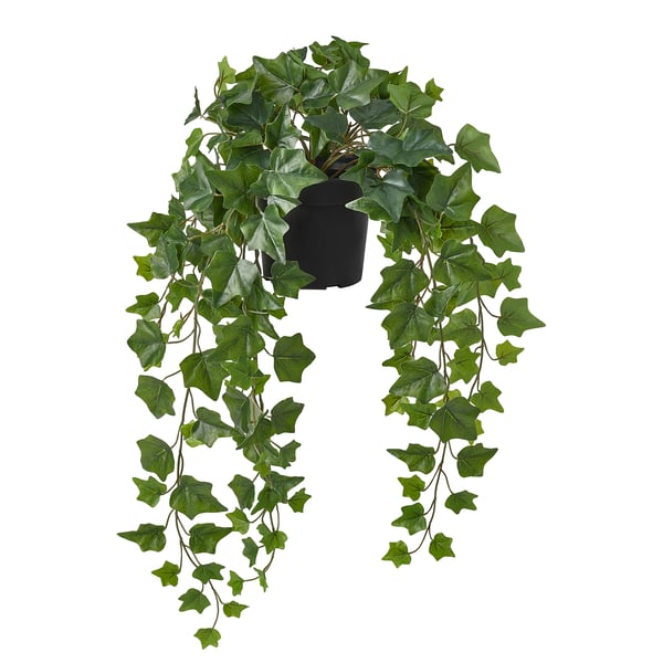 FEJKA Planta artificial, int/ext colgante/Hiedra, 15 cm