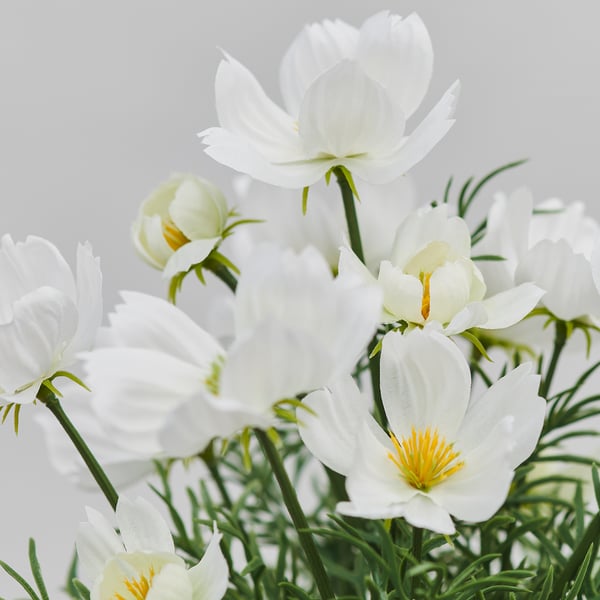 FEJKA Planta artificial, int/ext/cosmos blanco, 9 cm