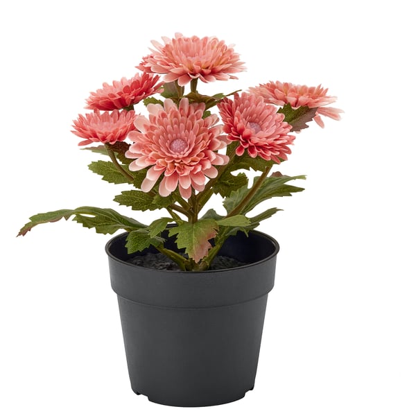 FEJKA Planta artificial, int/ext/Crisantemo rosa, 9 cm
