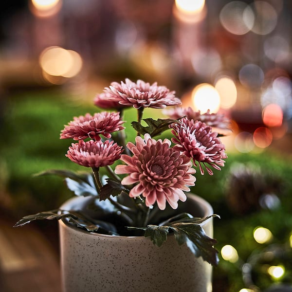 FEJKA Planta artificial, int/ext/Crisantemo rosa, 9 cm
