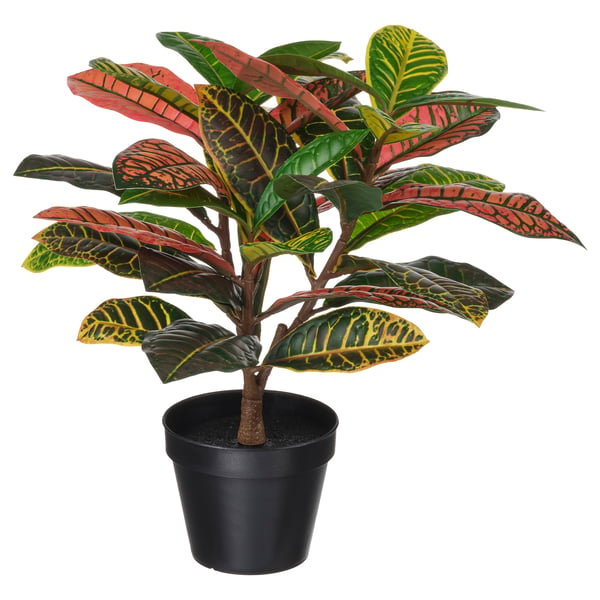 FEJKA Planta artificial, int/ext croton, 12 cm