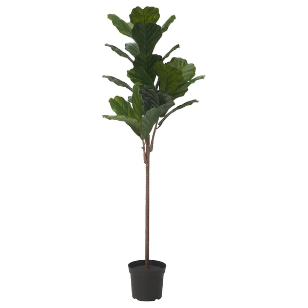 FEJKA Planta artificial, int/ext ficus lira, 19 cm
