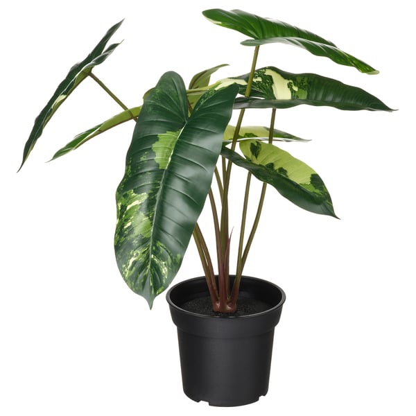 FEJKA Planta artificial, int/ext filodendro/verde/blanco, 15 cm