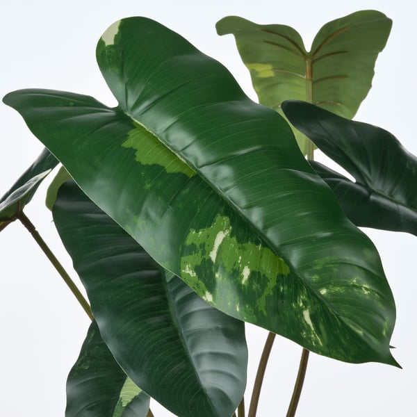 FEJKA Planta artificial, int/ext filodendro/verde/blanco, 15 cm