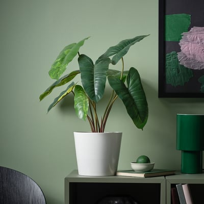 FEJKA Planta artificial, int/ext filodendro/verde/blanco, 15 cm