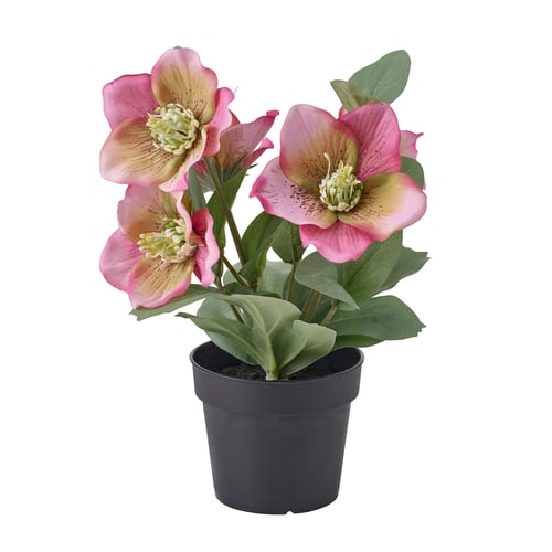 FEJKA Planta artificial, int/ext Flor de Pascua/rosa, 9 cm