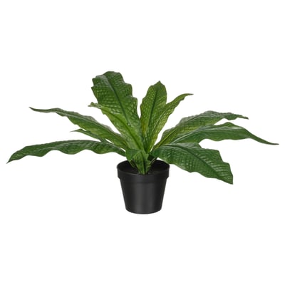 FEJKA Planta artificial, int/ext helecho de cocodrilo, 12 cm