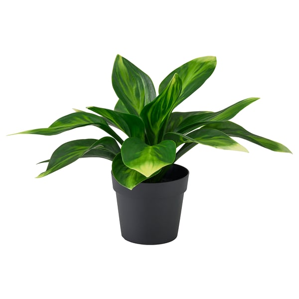 FEJKA Planta artificial, int/ext/hosta, 9 cm