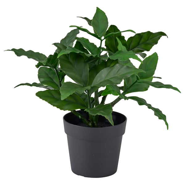 FEJKA Planta artificial, int/ext/laurel, 9 cm