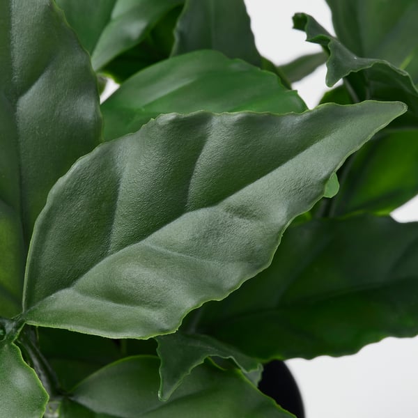 FEJKA Planta artificial, int/ext/laurel, 9 cm
