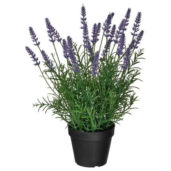 FEJKA Planta artificial, int/ext/lavanda lila, 12 cm