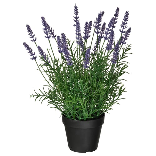 FEJKA Planta artificial, int/ext/lavanda lila, 12 cm