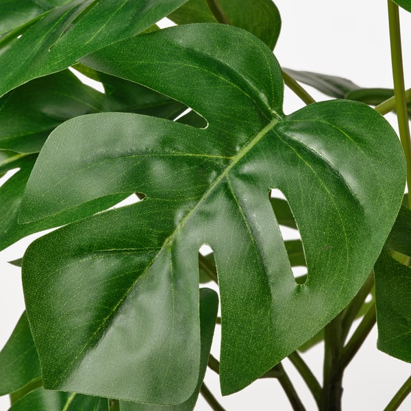 FEJKA Planta artificial, int/ext monstera, 12 cm