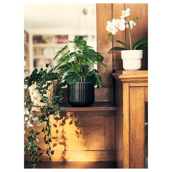 FEJKA Planta artificial, int/ext monstera, 12 cm