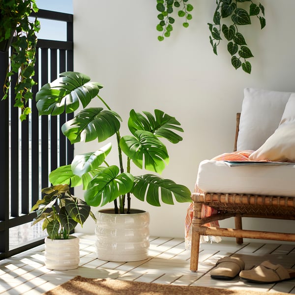 FEJKA Planta artificial, int/ext monstera, 19 cm