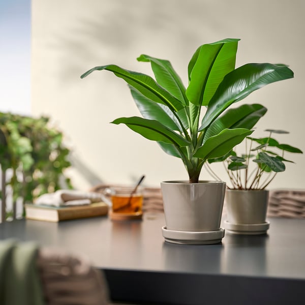 FEJKA Planta artificial, int/ext Musa Tropicana, 12 cm