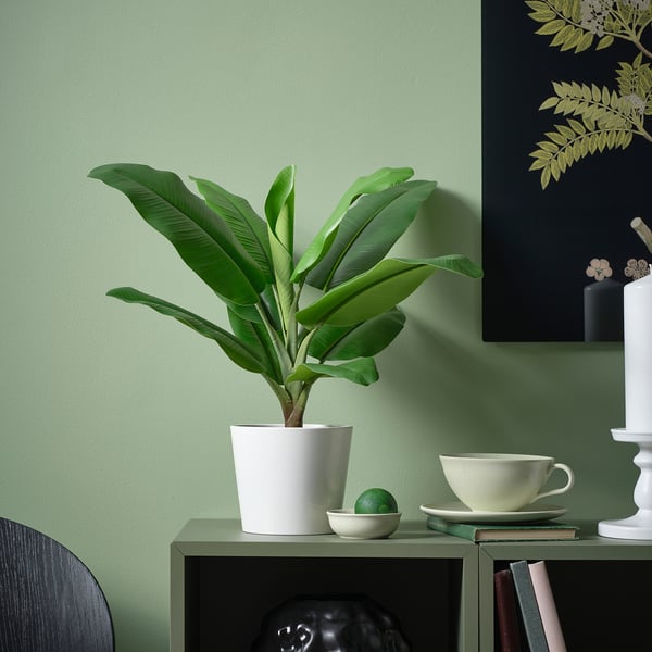 FEJKA Planta artificial, int/ext Musa Tropicana, 12 cm