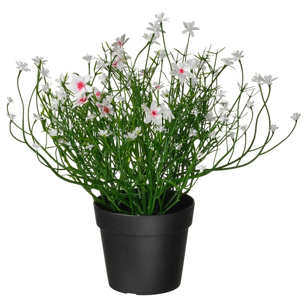 FEJKA Planta artificial, int/ext/paniculata blanco, 9 cm