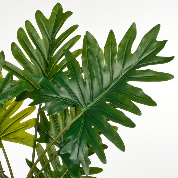 FEJKA Planta artificial, int/ext Philodendron xanadu, 19 cm