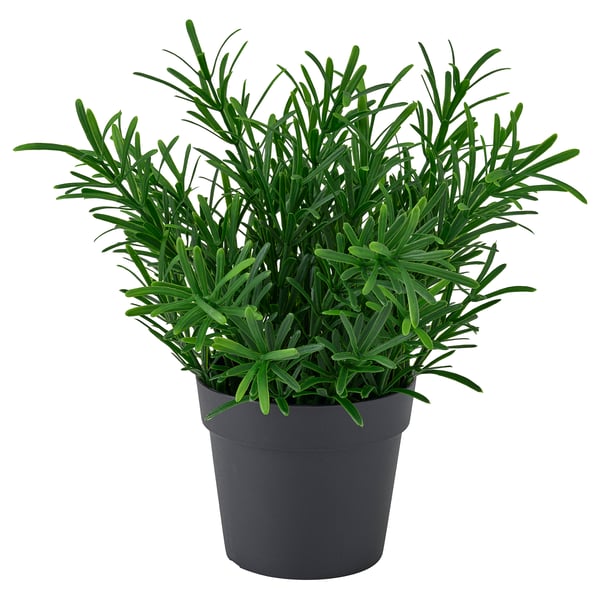 FEJKA Planta artificial, int/ext/romero, 9 cm