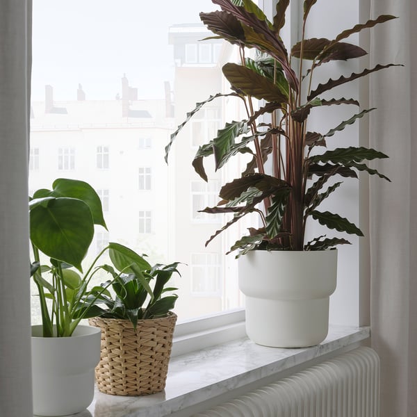FÖRENLIG Maceta, int/ext blanco, 19 cm