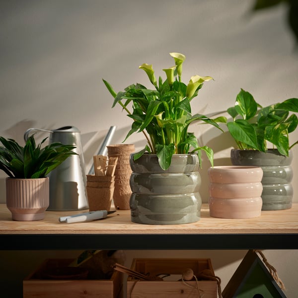 HASSELBUKETT Maceta, int/ext/verde/ café, 15 cm