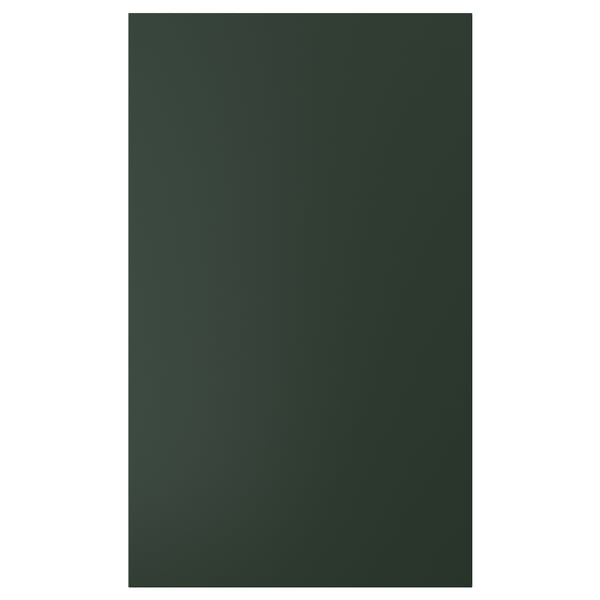HAVSTORP Puerta, Verde oscuro, 61x101 cm