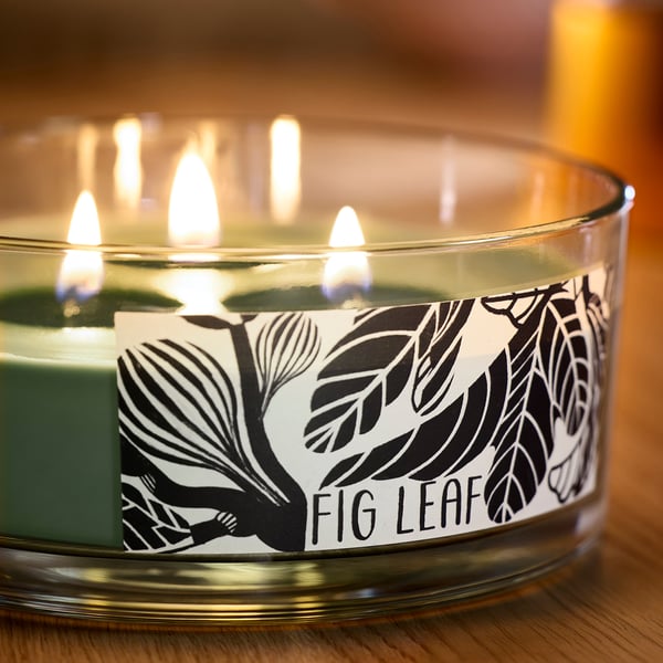 LOTSFÅGEL Vela aromática c/vaso+tapa/3 mechas, Hoja de parra verde, 25 hr