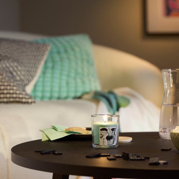 LOTSFÅGEL Vela aromática en vaso c/tapa, Manzana Verde claro, 40 hr