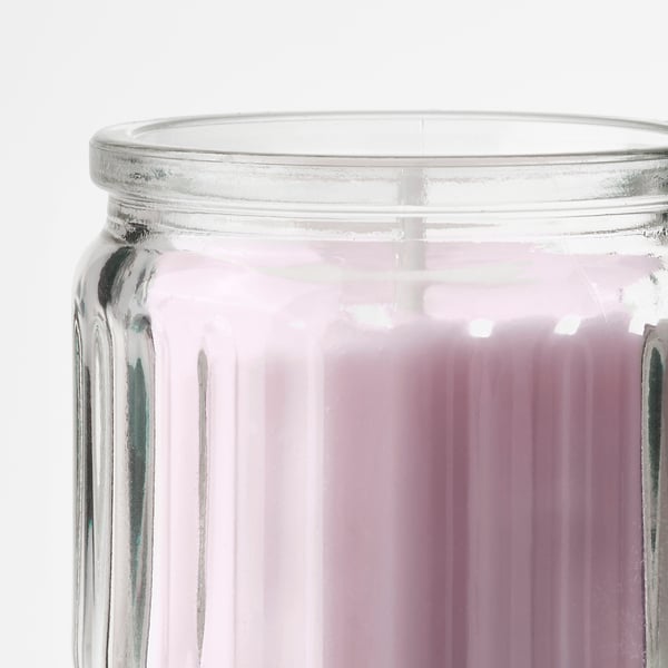 LUGNARE Vela aromática en vaso, jazmín/rosa, 12 hr