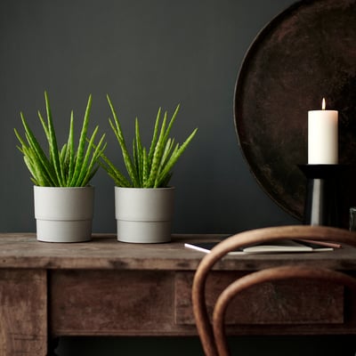 NYPON Maceta, int/ext gris, 12 cm