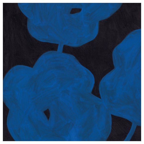 PJÄTTERYD Fotografía, Flores alegres, 90x90 cm