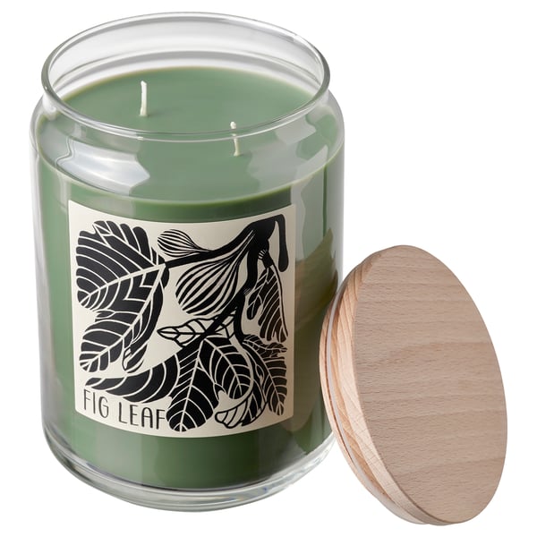 PRAKTHÄGER Vela aromática+vaso+tapa/2 mechas, Hoja de parra verde, 100 hr